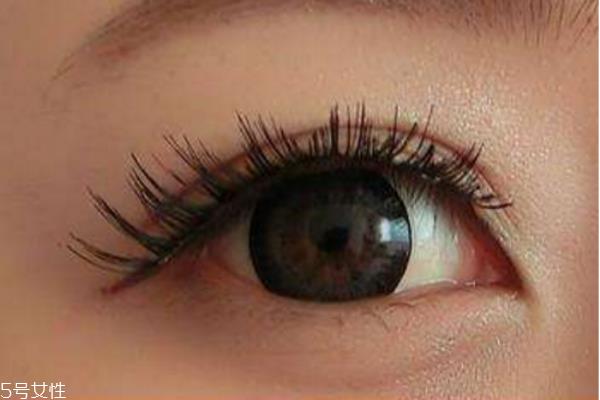 假睫毛可以天天用吗 每天贴眼睫毛好不好