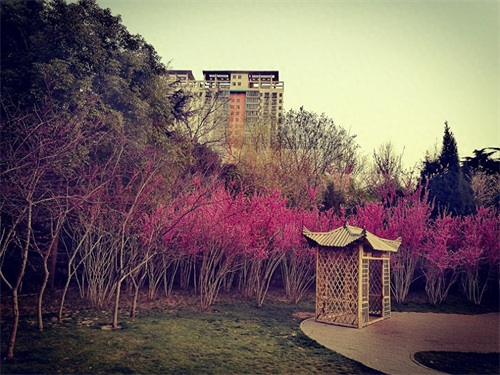 紫荆山公园，坐落在郑州市区东北部