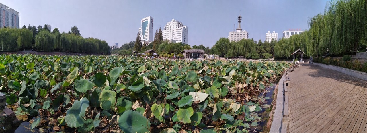 紫荆山公园，坐落在郑州市区东北部