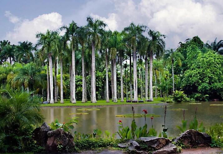 西双版纳有多少人口(西双版纳各县人口排名)