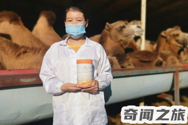 驼奶多少钱一罐(一罐普通的驼奶价格为400-1000元每罐为300克)(2)_
