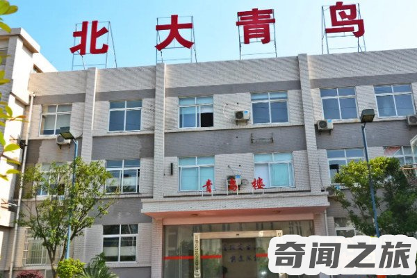 北大青鸟学费多少一年(几千元到几万元不等)(1)_