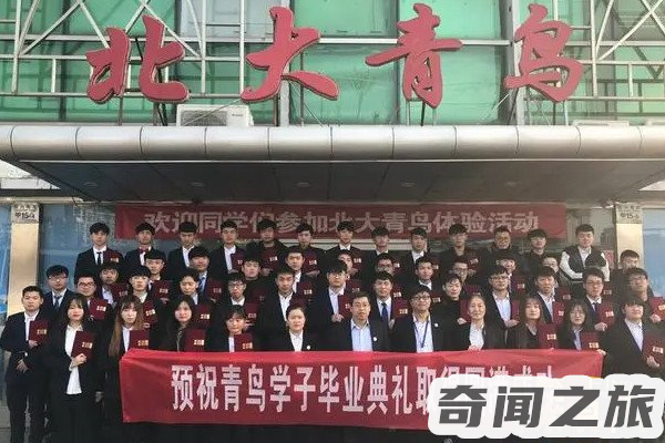 北大青鸟学费多少一年(几千元到几万元不等)(4)_