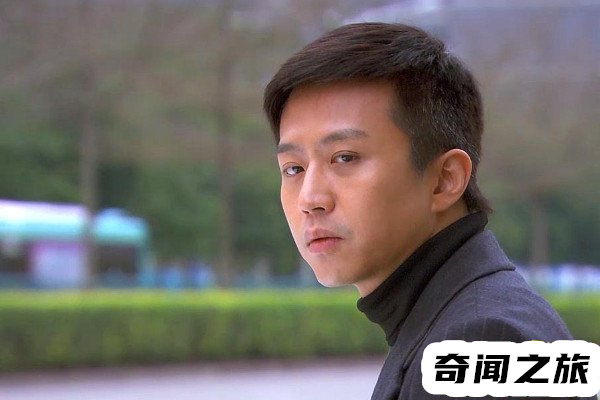 日薪208万什么梗（208万日薪是多少人民币）(4)_