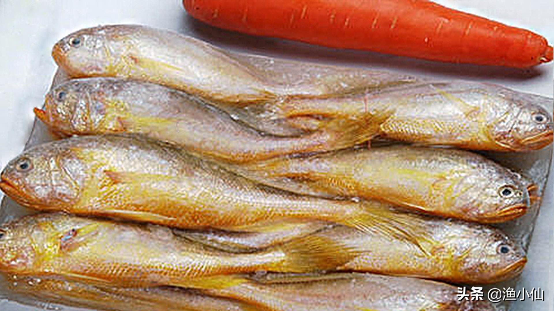 一种捕捞上来会叫的海鱼，肉嫩刺软，肉味鲜美，不愧叫狮头鱼