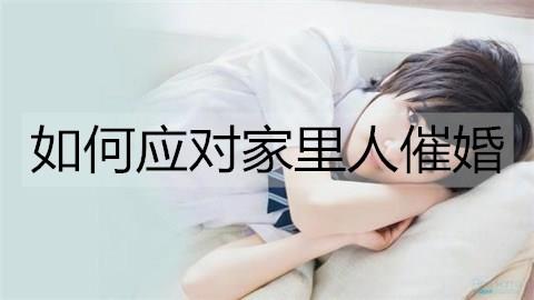 如何应对家里人催婚3