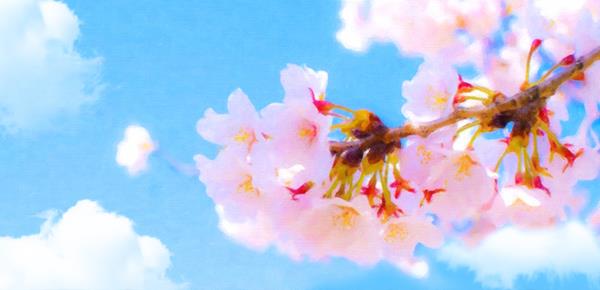 老人的健康状况对儿女的影响