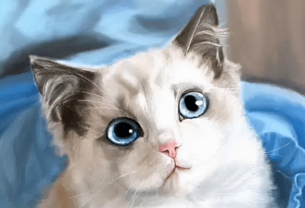 小猫多大可以驱虫（铲屎官需要知道的3个小常识）