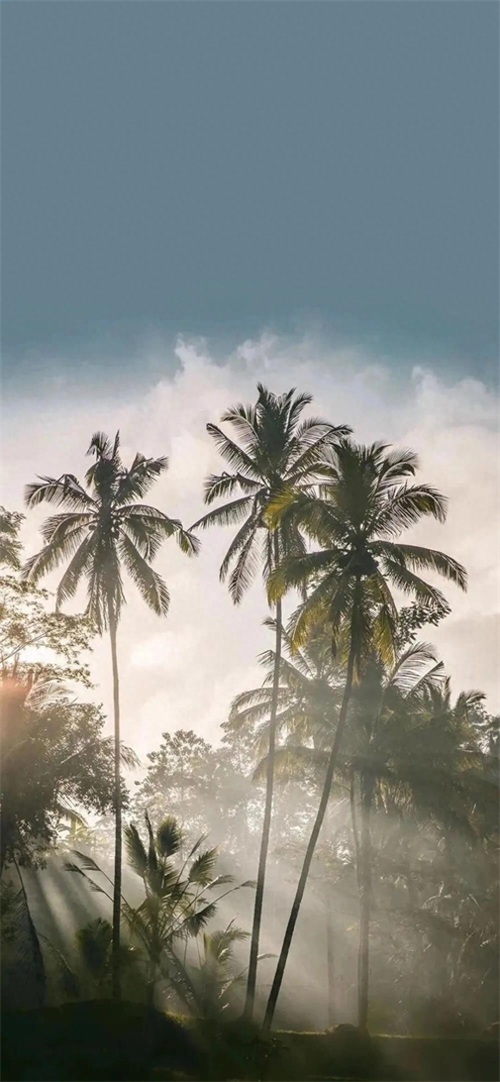 抖音最火潮图壁纸