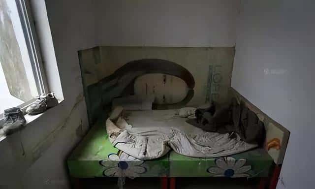 河南网红张白鸽身世（河南张白鸽个人简历及资料）