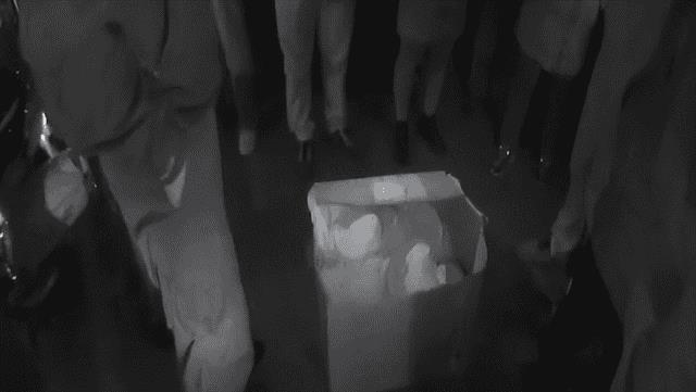 河南网红张白鸽身世（河南张白鸽个人简历及资料）