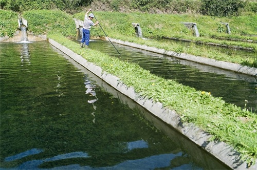 盐源苹果，四川省盐源县特产，中国国家地理标志产品。盐源苹果皮