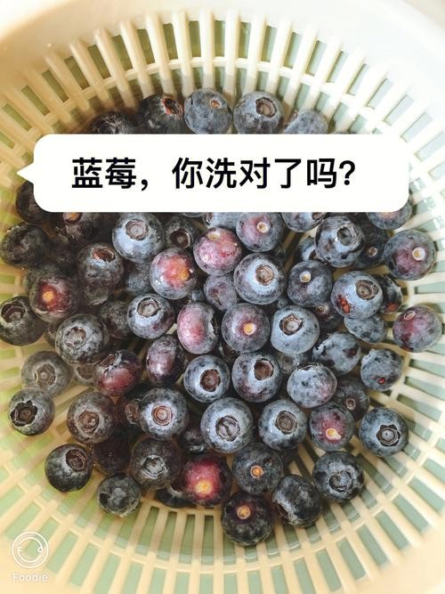 怎么清洗蓝莓才干净（三种方法教你如何清洗蓝莓）