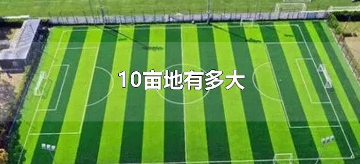 10亩地有多大
