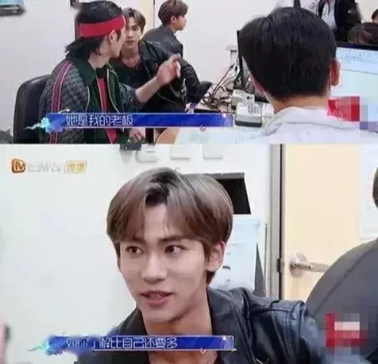 蛋蛋妹和助理奇怎么这么像（蛋蛋妹和助理奇的相似之处）