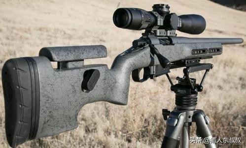 世界公认十大狙击枪（全球十大最强狙击枪）(12)