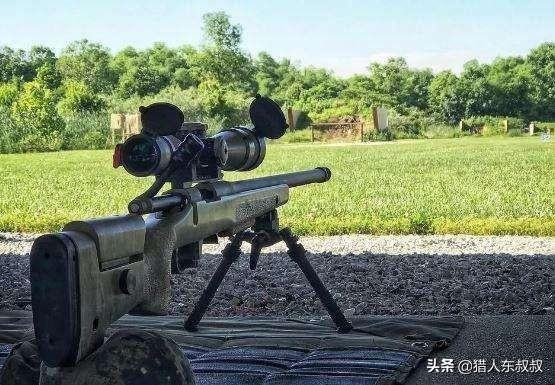 世界公认十大狙击枪（全球十大最强狙击枪）(13)