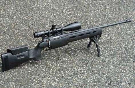 世界公认十大狙击枪（全球十大最强狙击枪）(16)