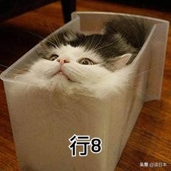 史上最奇葩的手办带你吃瓜（日本小哥研发沙雕手办爆红）(25)