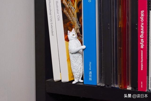 史上最奇葩的手办带你吃瓜（日本小哥研发沙雕手办爆红）(45)