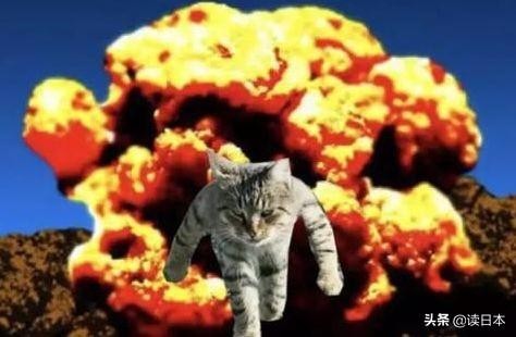 史上最奇葩的手办带你吃瓜（日本小哥研发沙雕手办爆红）(9)