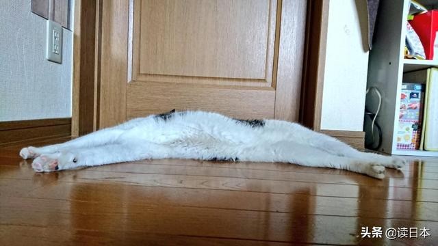 史上最奇葩的手办带你吃瓜（日本小哥研发沙雕手办爆红）(32)