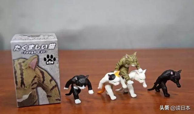 史上最奇葩的手办带你吃瓜（日本小哥研发沙雕手办爆红）(13)