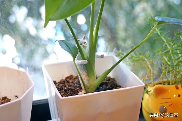 史上最奇葩的手办带你吃瓜（日本小哥研发沙雕手办爆红）(47)