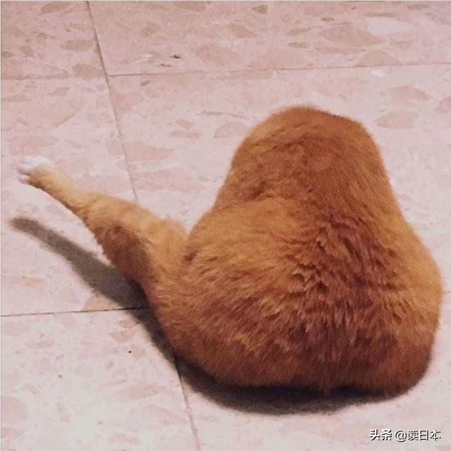 史上最奇葩的手办带你吃瓜（日本小哥研发沙雕手办爆红）(30)