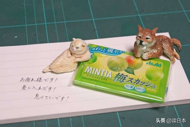 史上最奇葩的手办带你吃瓜（日本小哥研发沙雕手办爆红）(37)