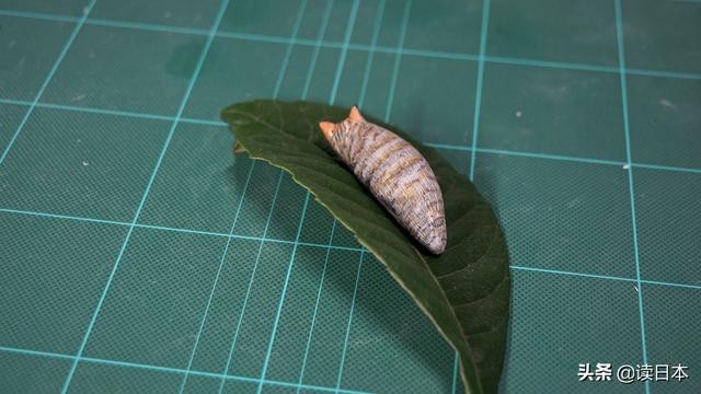 史上最奇葩的手办带你吃瓜（日本小哥研发沙雕手办爆红）(49)