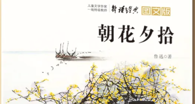 朝花夕拾好词好句摘抄,朝花夕拾每篇好词好句摘抄图4