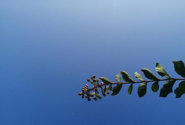 含蓄幽默表达自己生日，如何委婉的表达自己生日？图5