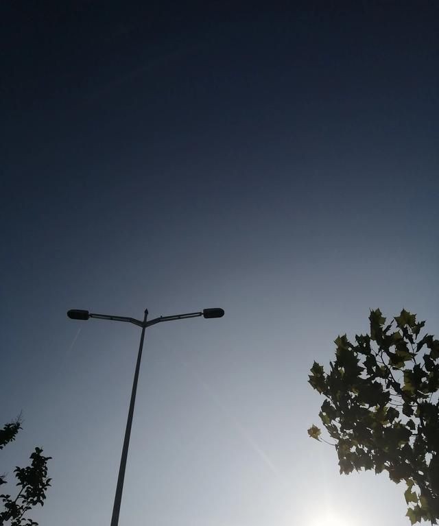 含蓄幽默表达自己生日，如何委婉的表达自己生日？图8