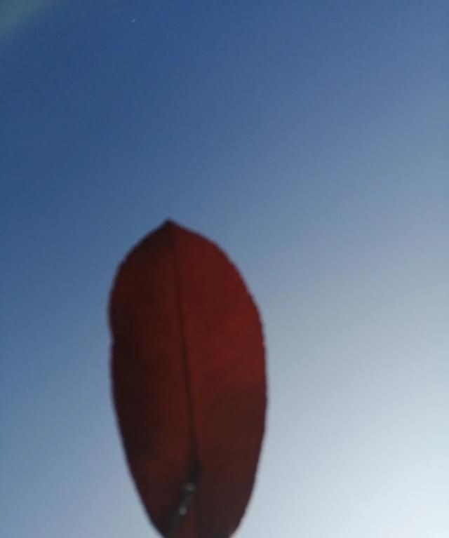 含蓄幽默表达自己生日，如何委婉的表达自己生日？图7