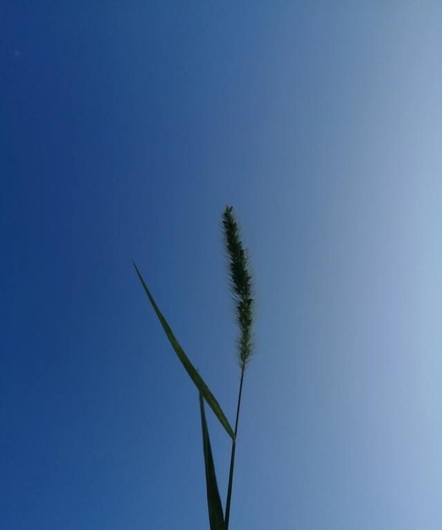 含蓄幽默表达自己生日，如何委婉的表达自己生日？图9