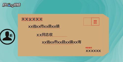 邮政编码怎么填写