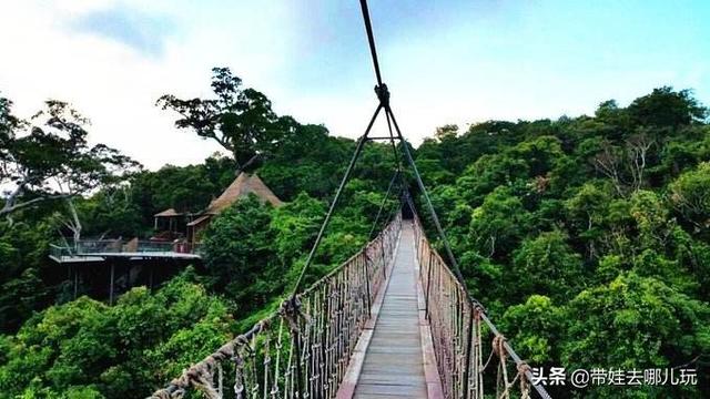 三亚最美的度假海岛（三亚顶级森林度假村）(25)