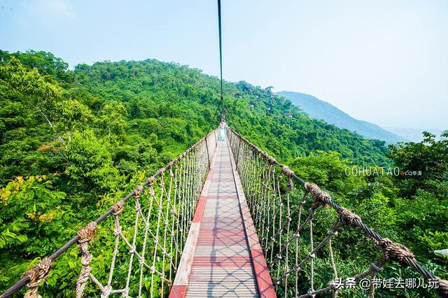 三亚最美的度假海岛（三亚顶级森林度假村）(24)