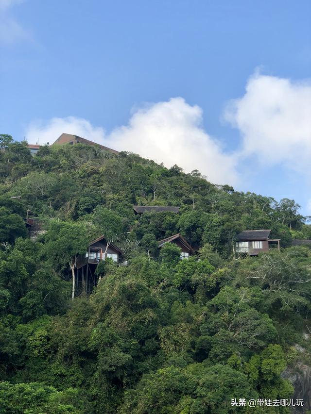三亚最美的度假海岛（三亚顶级森林度假村）(19)