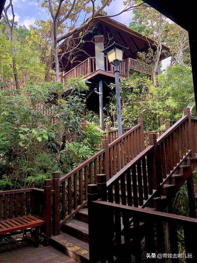 三亚最美的度假海岛（三亚顶级森林度假村）(12)