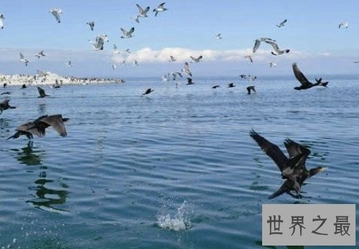 世界最大的咸水湖在中国，也是中国最大的内陆湖
