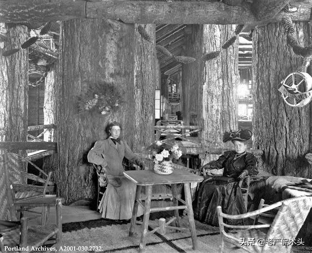 世界上最高大树屋（参天巨木垒成世界最大木屋）(12)