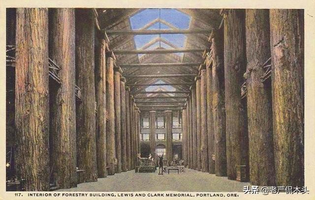 世界上最高大树屋（参天巨木垒成世界最大木屋）(8)