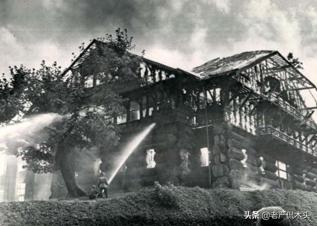 世界上最高大树屋（参天巨木垒成世界最大木屋）(18)