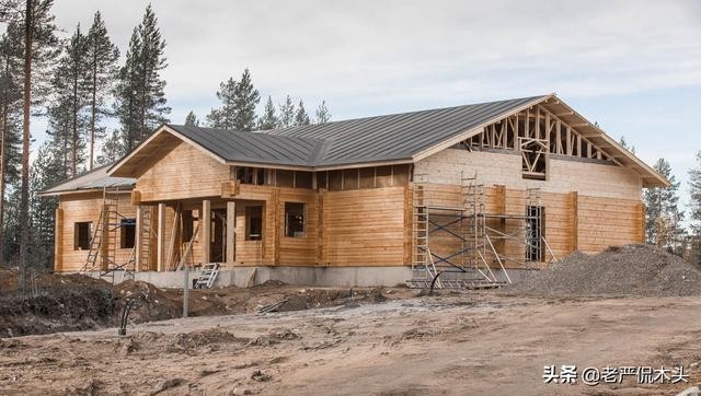 世界上最高大树屋（参天巨木垒成世界最大木屋）(3)