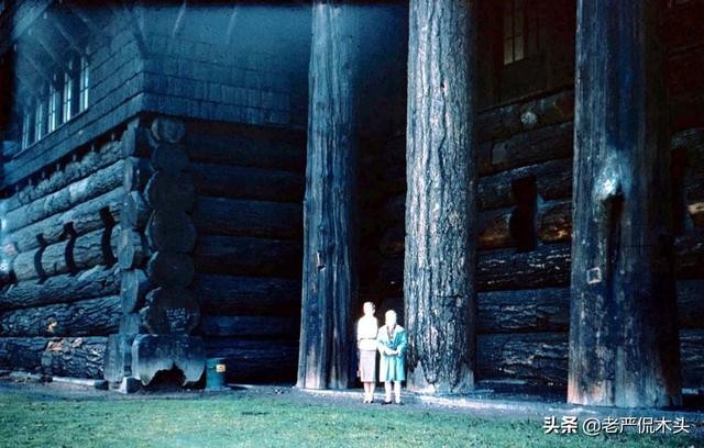 世界上最高大树屋（参天巨木垒成世界最大木屋）(14)