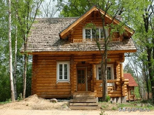 世界上最高大树屋（参天巨木垒成世界最大木屋）(2)