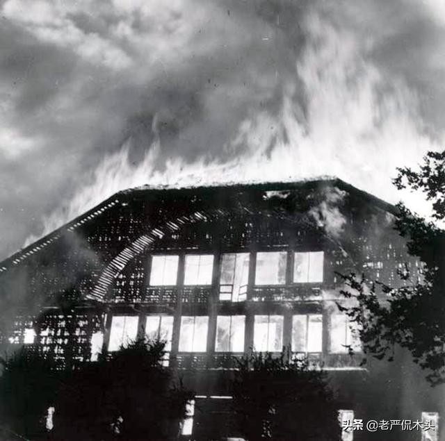 世界上最高大树屋（参天巨木垒成世界最大木屋）(19)