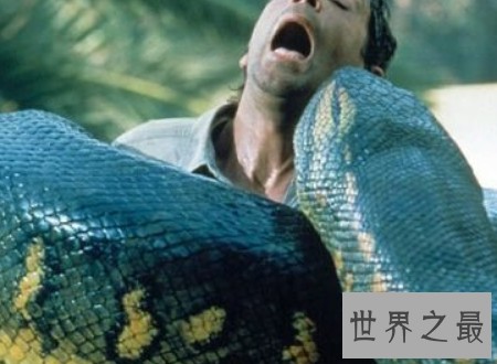 泰坦巨蟒能吃半吨重的钝鼻鳄和3米的肺鱼
